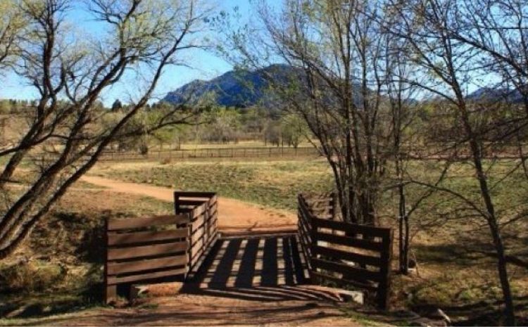 Bear Creek Regional Park 1