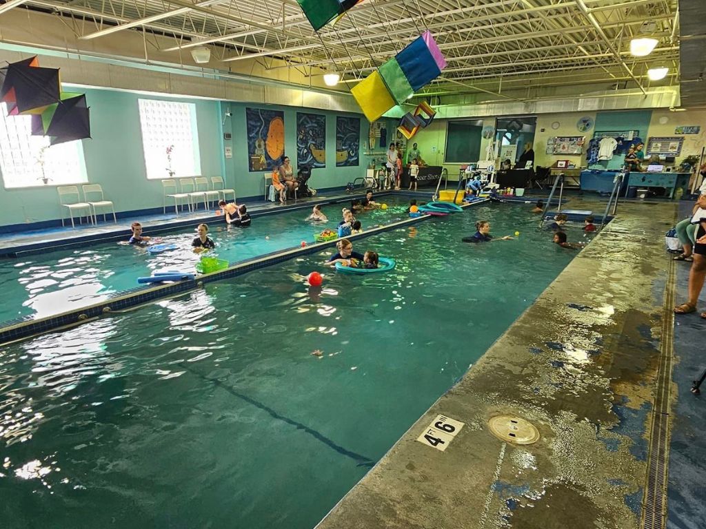 Little Fins Swim School